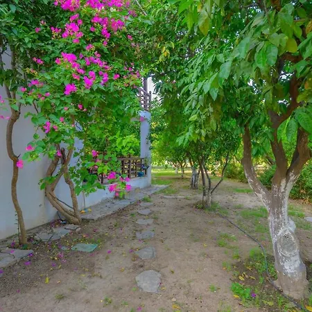 Villa Saklıbahçe - *