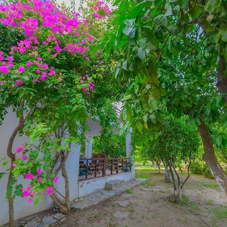 Saklıbahçe - Villa *