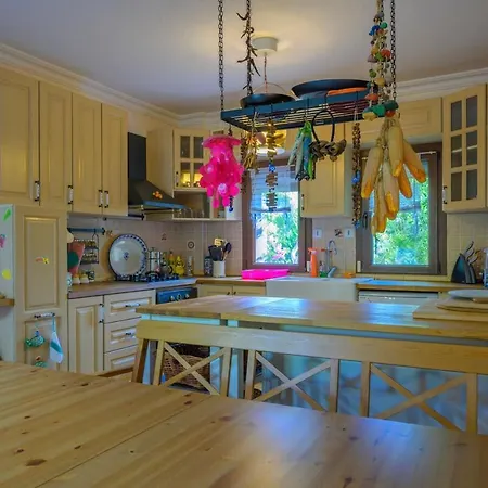 Saklıbahçe - Villa